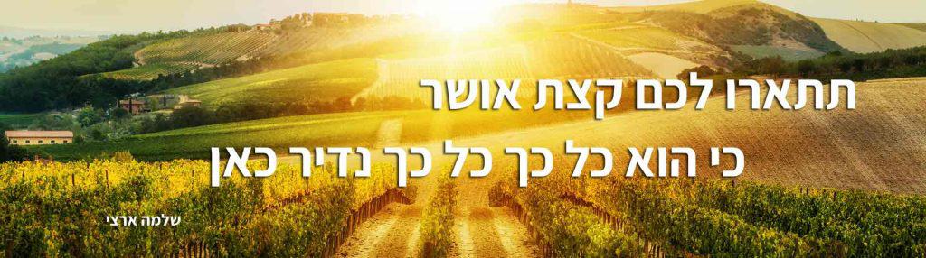 תתארו לכם קצת אושר